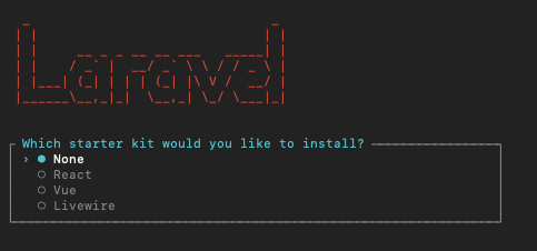 Screenshot dell'installer di Laravel, dove si nota l'assenza dell'opzione di Breeze come starter kit.
